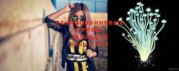 стафф Шарыпово