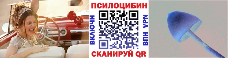 Купить  Ухта  Галлюциногенные грибы Psilocybine cubensis 